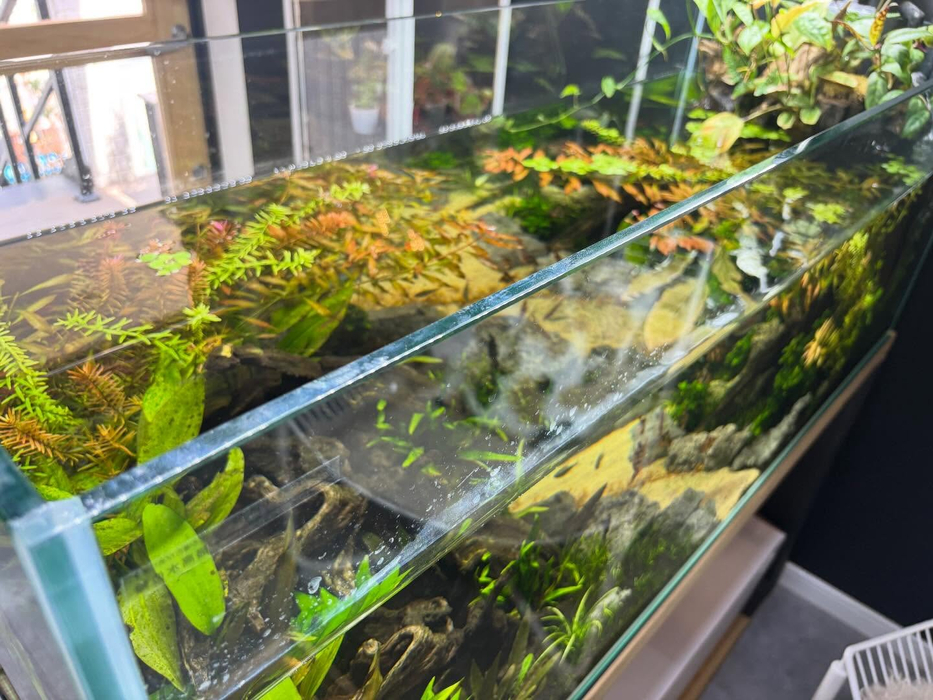 画像286