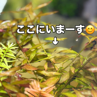 画像288