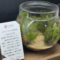 画像294