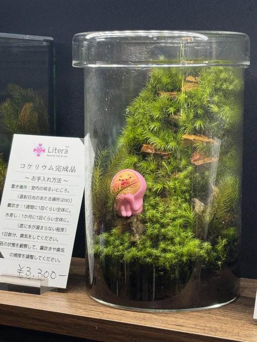 画像295