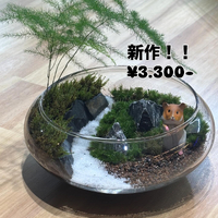 画像296