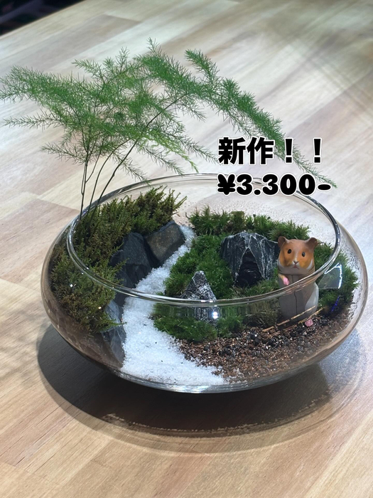 画像296