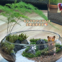 画像297