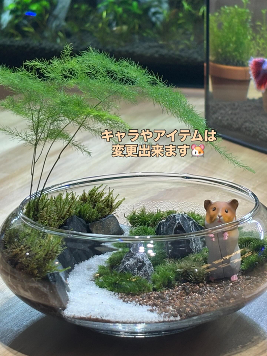 画像297