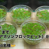 画像304