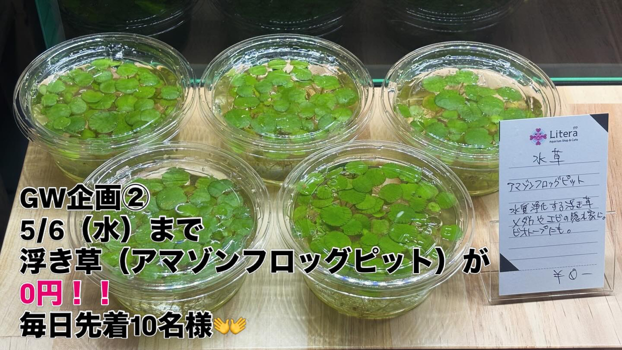 画像304