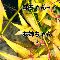 画像308