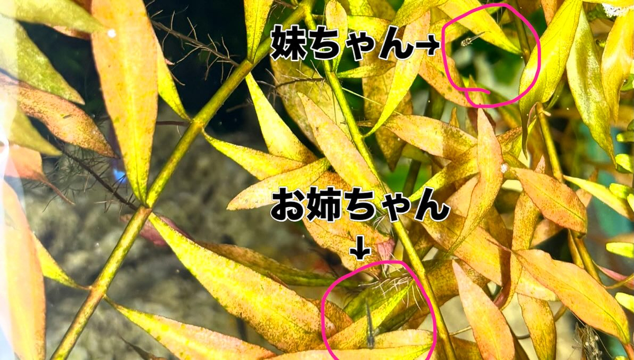 画像308