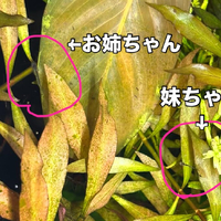 画像309