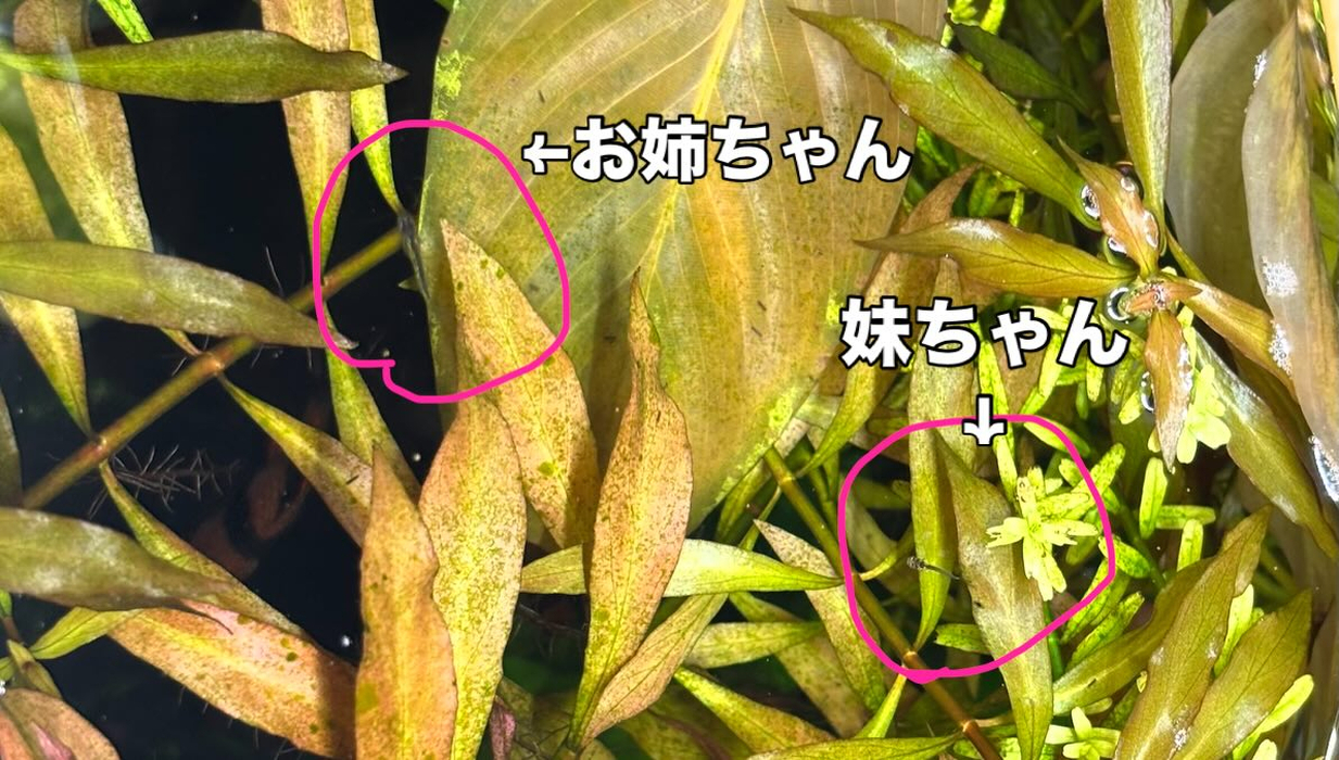 画像309