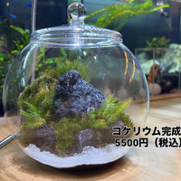 画像312