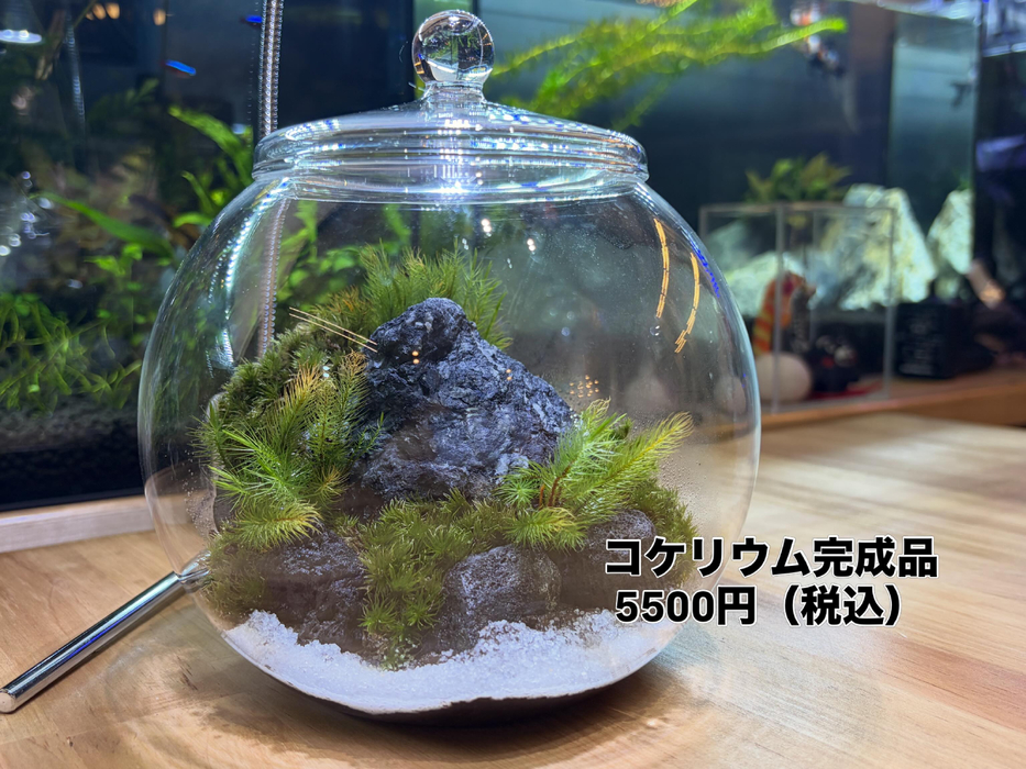 画像312