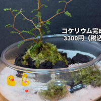 画像313