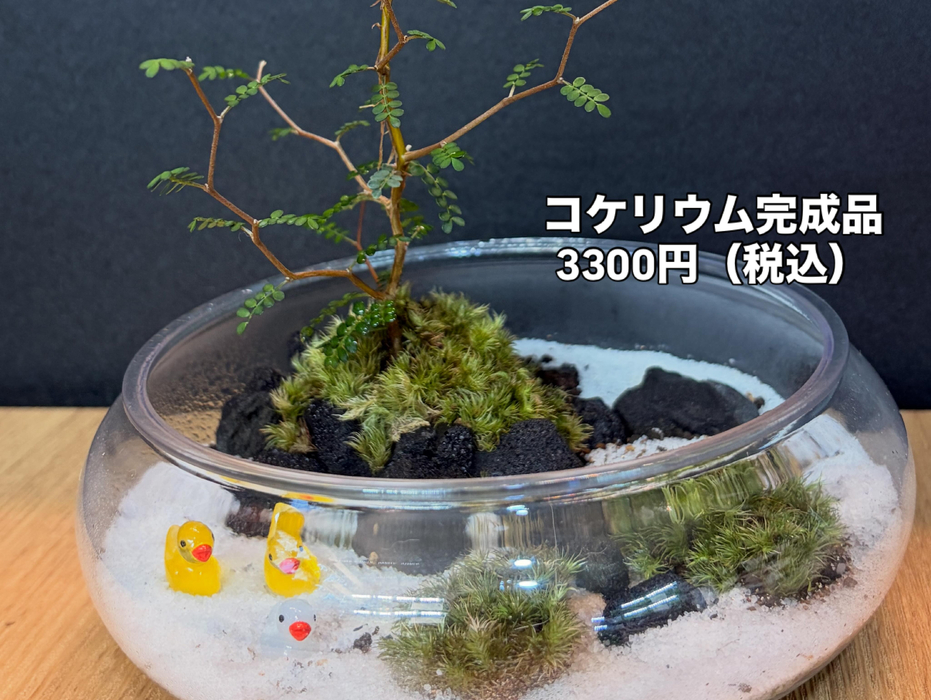画像313