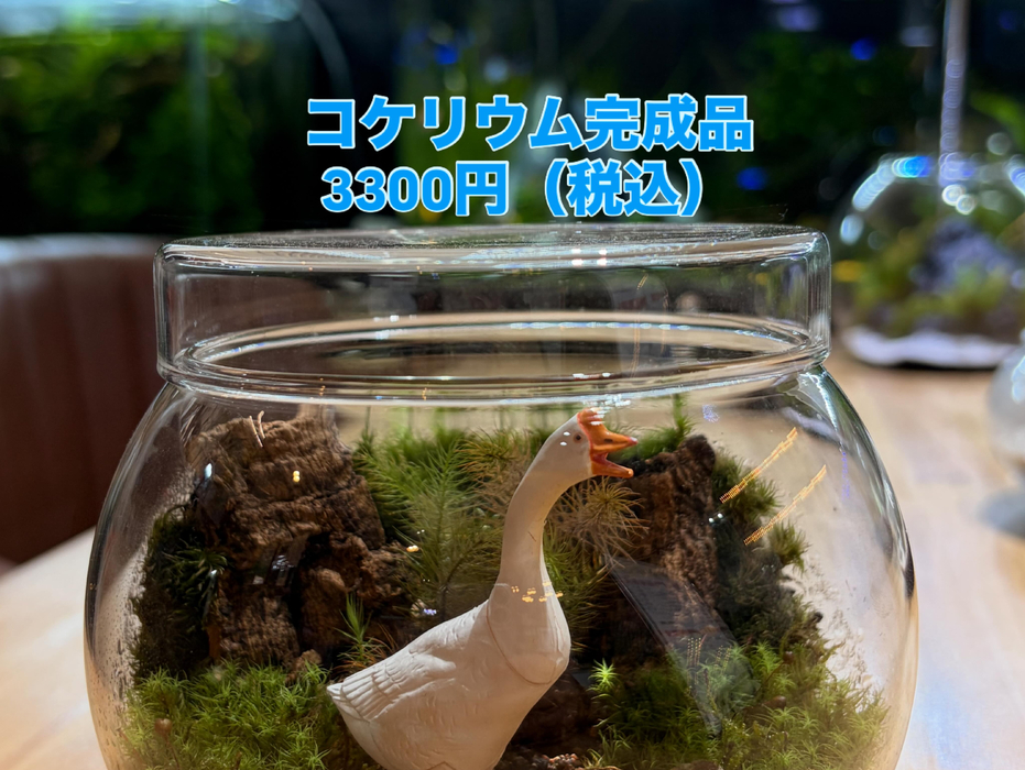 画像315