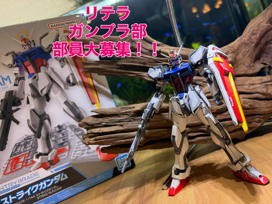 画像329