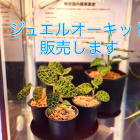 画像346