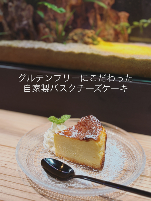 画像356