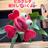 画像358