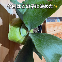 画像362