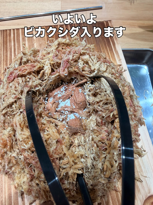 画像367