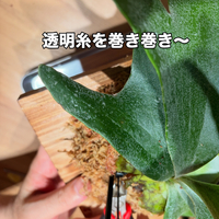画像368