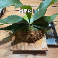 画像369