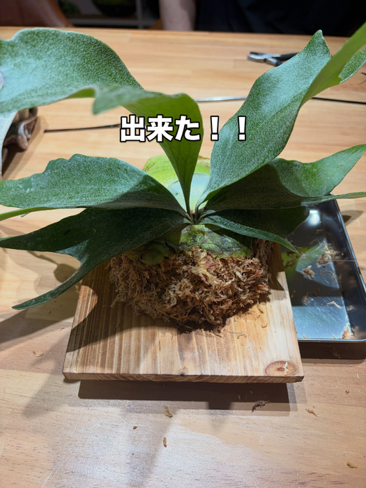 画像369