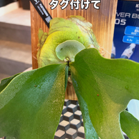 画像372