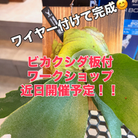 画像373