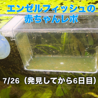 画像375