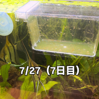 画像376