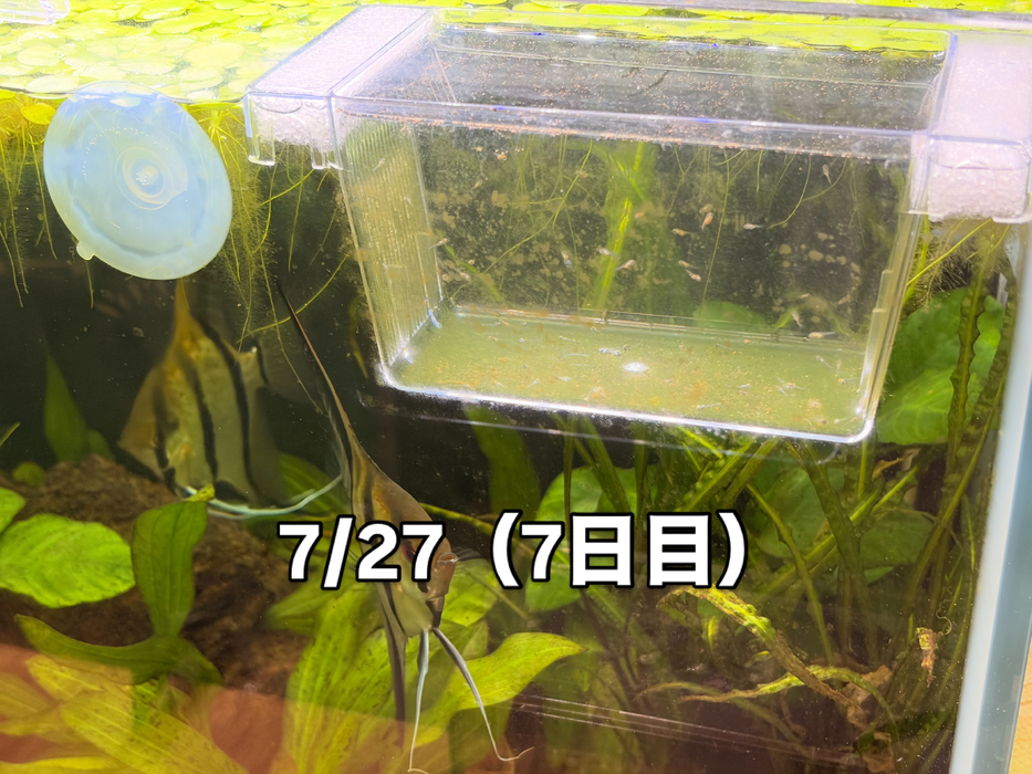 画像376