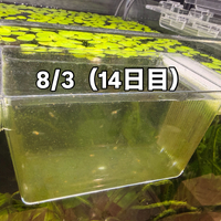 画像384