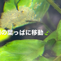 画像389