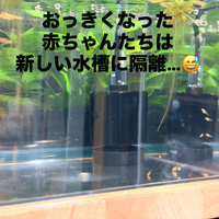 画像391