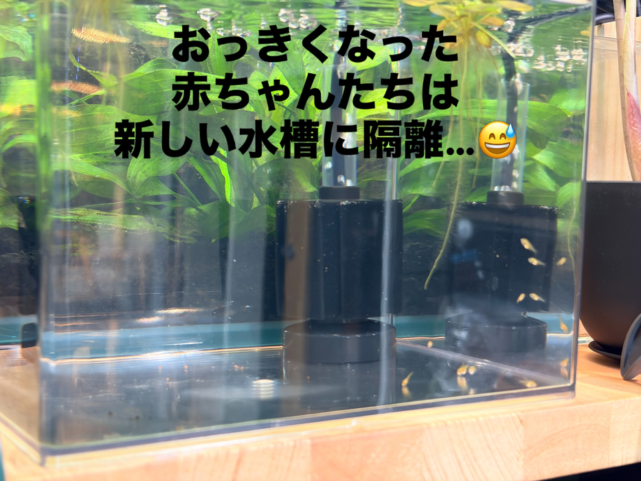 画像391