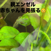 画像394